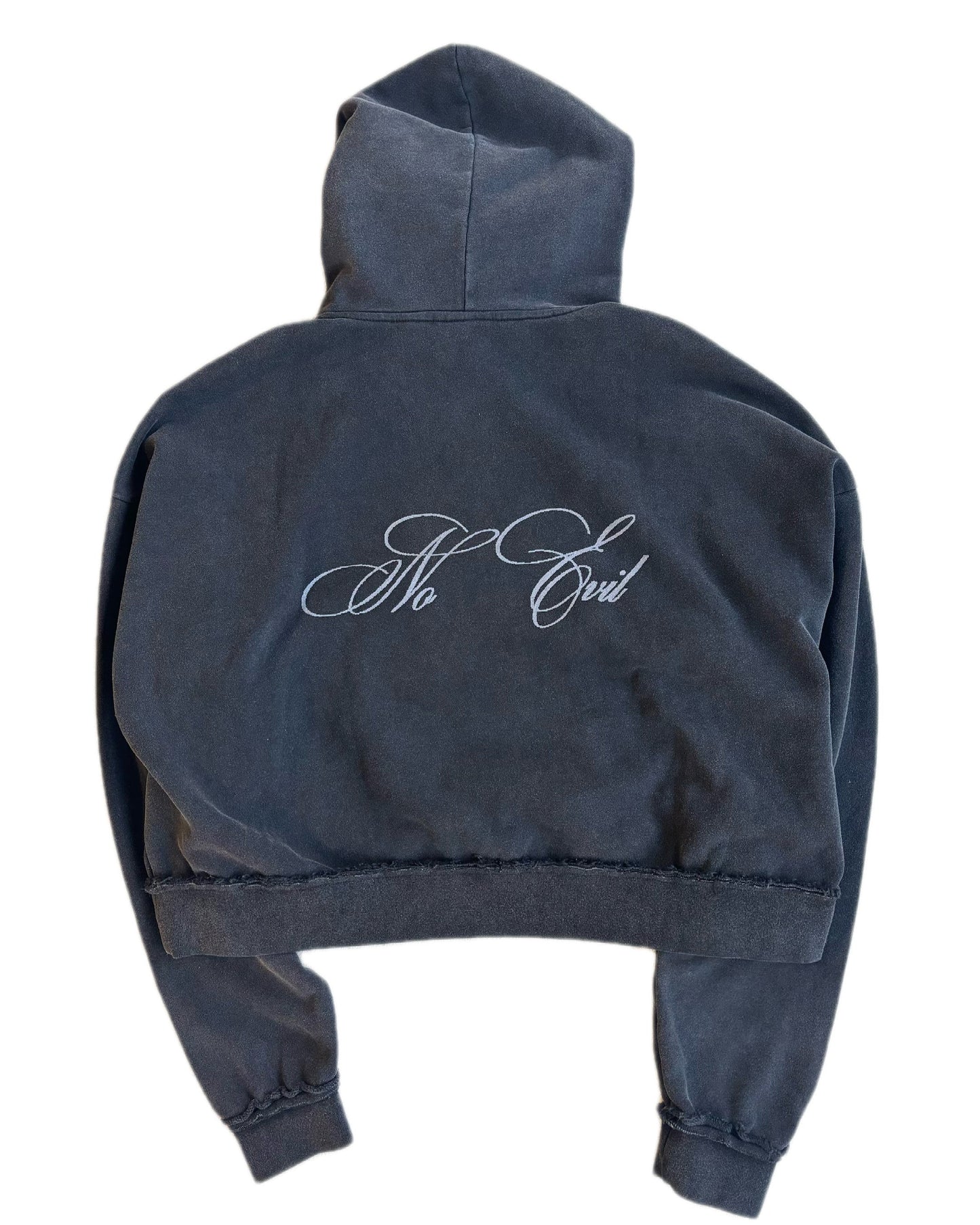 No Evil Hoodie